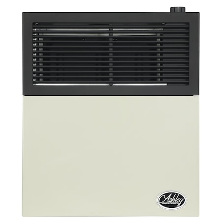 Ashley Hearth Products 11,000 BTU Direct Vent Natural Gas Wall Heater DVAG11N